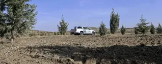 Ağaçlandırma seferberliğinin ilk yılında dikilen fidanlar ağaca dönüştü