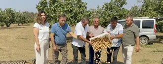 Aydın'da sezonun ilk kuru incirinin kilogramı 400 liradan satıldı