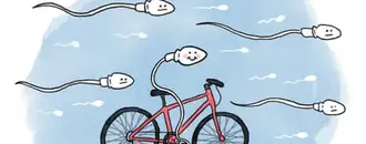 Is It True that … Cycling Affects Fertility?