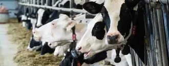 US Ban on Canadian Imports Likely to Weaken Already Fragile Relationship
