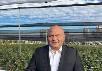 Atıklardan elde edilen enerji Ankara'da "yaban mersini" yetişmesini sağladı