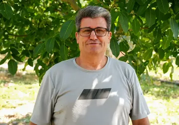 Ceviz üretiminde zararlılara karşı akıllı böceklerle mücadele ediliyor