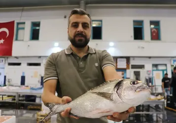 Ege'de sezonu açan balıkçılar avdan umutla döndü
