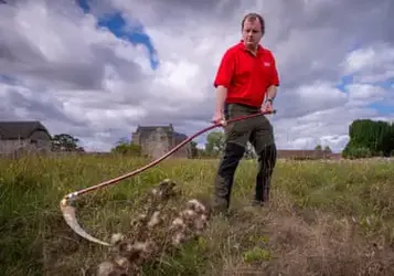 English Heritage Trains New Generation Of Scythers To Maintain Meadows And Craft