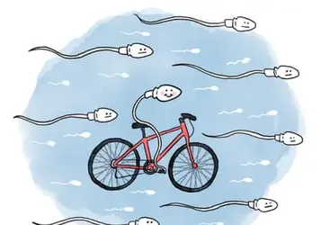 Is It True that … Cycling Affects Fertility?