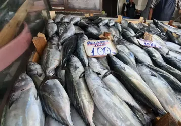 İstanbul'un Balık Tercihi Belli Oldu: Fiyat Listesinin Zirvesindeki Şaşırttı