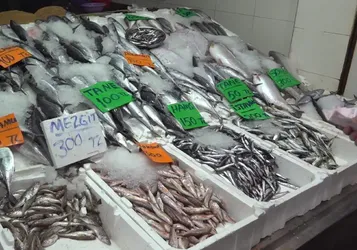 Karadeniz'de ağlar doldu taştı: Tanesi 100 liradan tezgaha indi