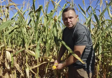 Los agricultores ucranianos luchan por sobrevivir ante el bloqueo ruso de exportaciones