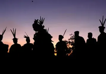 People protecting nature and land set up self-defence units amid threat of murder