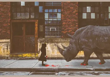2024'te Gri Gergedan (Gray Rhino) Risklerine Karşı Alınacak Önlemler