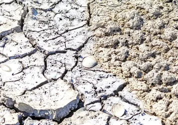WMO Raporu Açıklandı: Dünyanın Su Kaynakları Alarm Veriyor