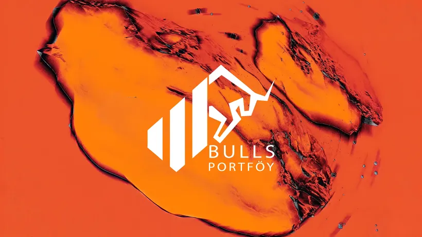 Bulls Portföy Fonlardaki Varlık Dağılımını Açıkladı: Varlıkların %54,7'Si Nakitte