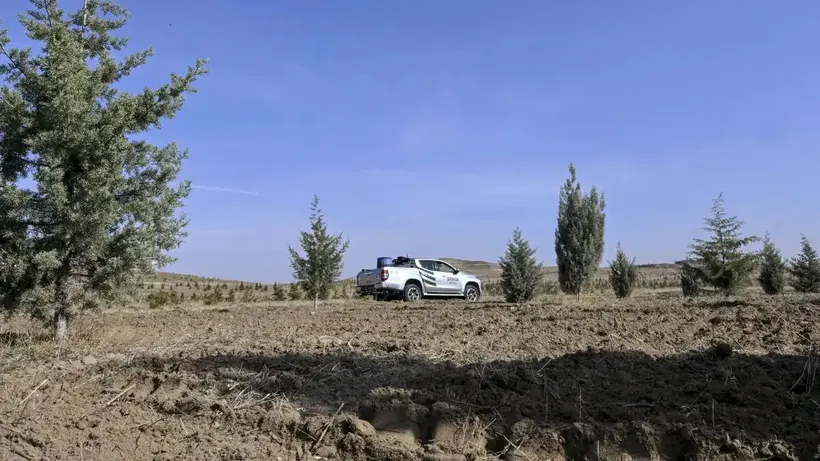 Ağaçlandırma seferberliğinin ilk yılında dikilen fidanlar ağaca dönüştü