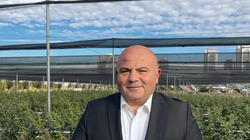 Atıklardan elde edilen enerji Ankara'da "yaban mersini" yetişmesini sağladı