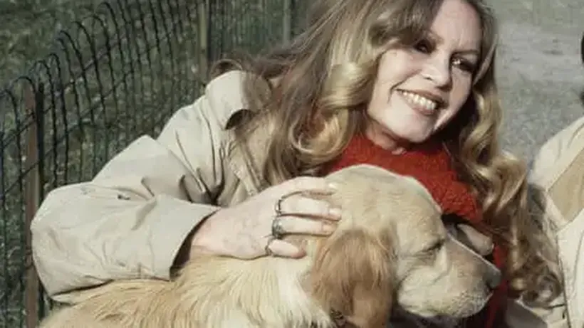 Brigitte Bardot Auction in Paris Fetches Nearly €1M, with Proceeds Going to Her Animal Welfare Foundation and Her Son
