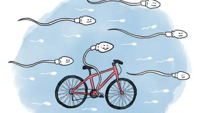 Is It True that … Cycling Affects Fertility?