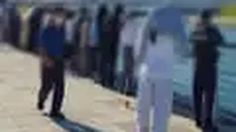 Large Shark Stuck in City Canal Draws 600,000 Visitors as Rescue Efforts Begin in South Korea