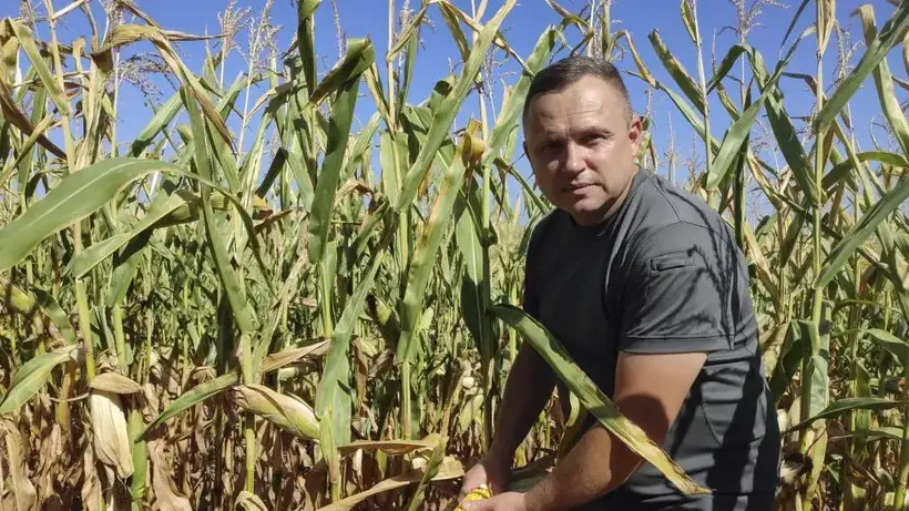 Los agricultores ucranianos luchan por sobrevivir ante el bloqueo ruso de exportaciones