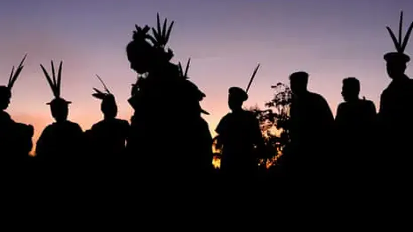 People protecting nature and land set up self-defence units amid threat of murder