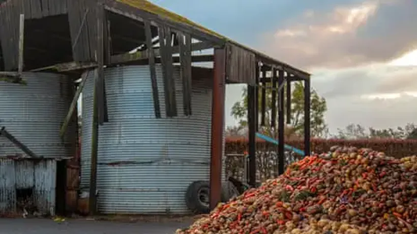 The UK Has a Food Waste Problem and a Food Poverty Problem – And We Have a Plan to Fix Them Both | Charlotte Hill
