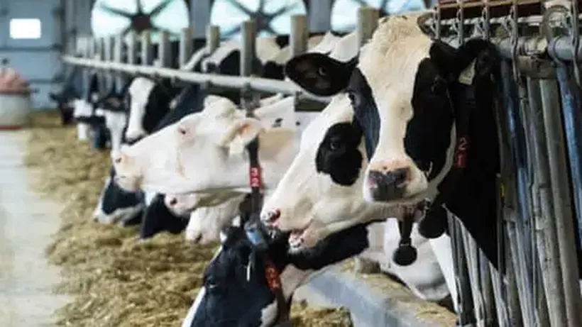 US Ban on Canadian Imports Likely to Weaken Already Fragile Relationship